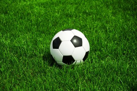 赛事竞猜爱好者辅助决策